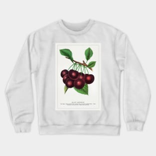 Black Tartarian Cherry Lithograph (1900) Crewneck Sweatshirt